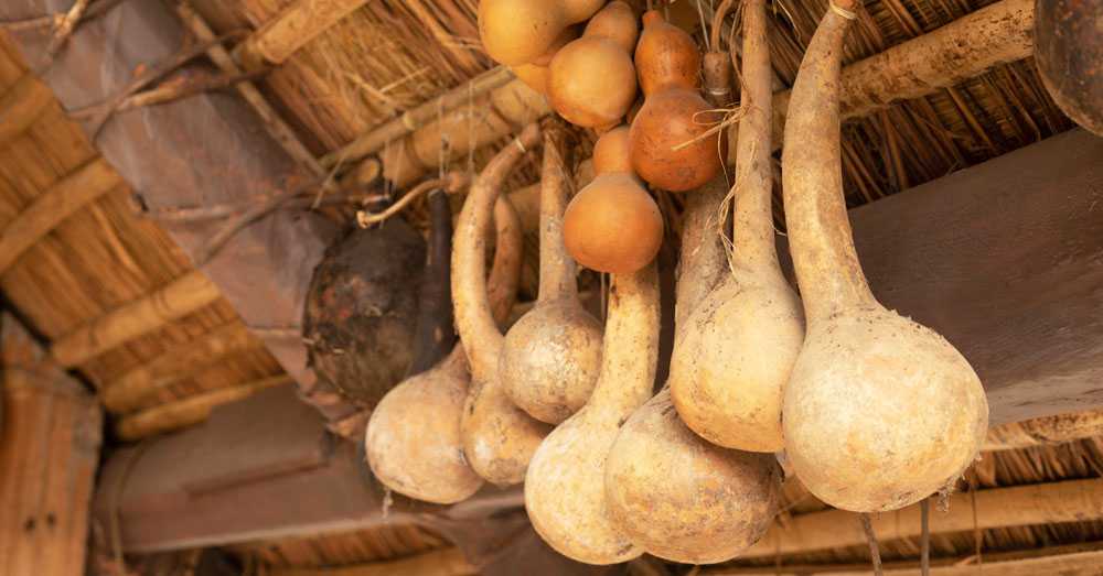 Travel Guide: Discover the unique cuisine of Nagaland