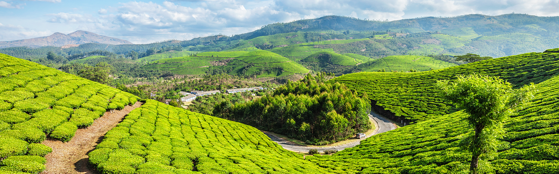 8 Days 7 Nights Kerala Tour Package