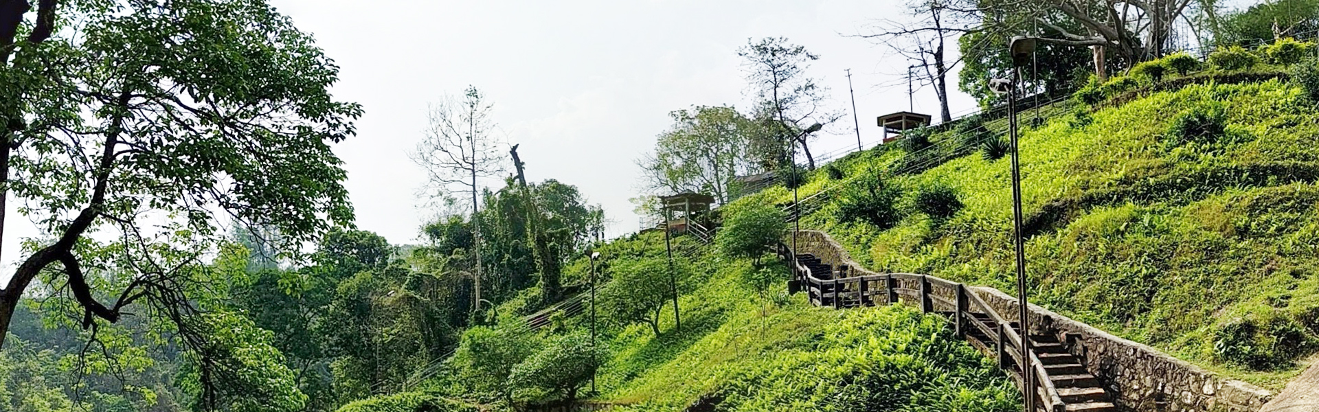 6 Nights 7 Days in Tripura