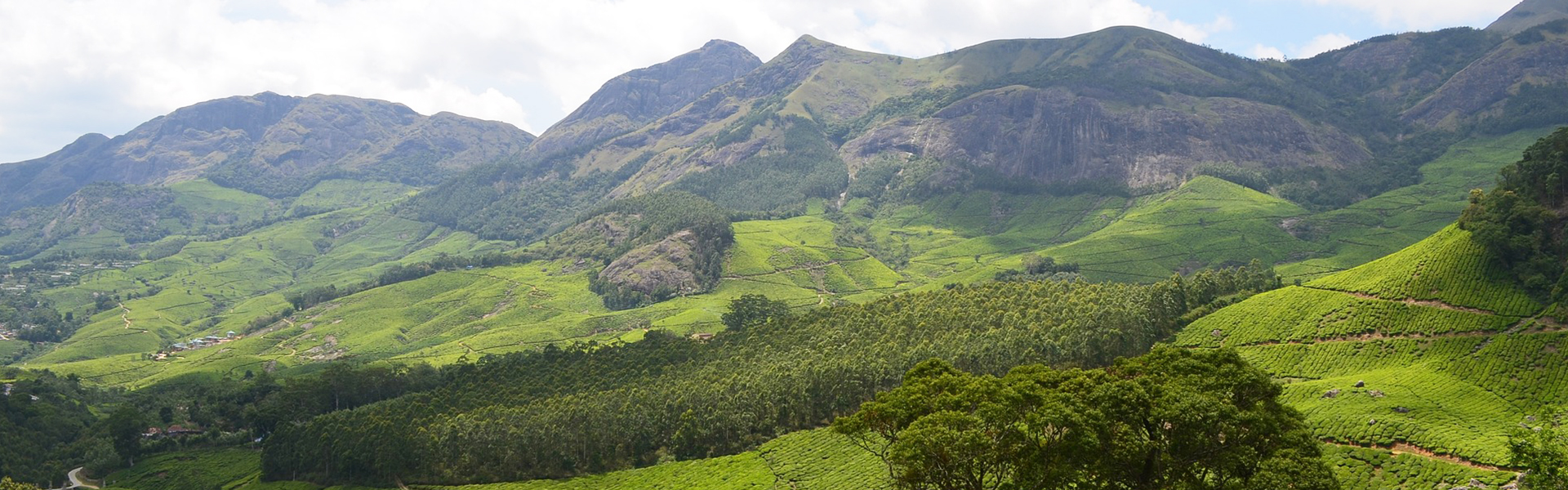 5 Nights 6 Days in Kerala