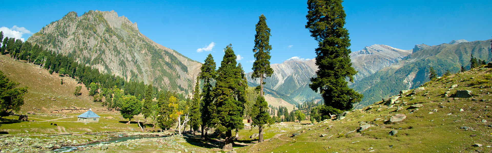5 Nights 6 Days Special Kashmir Package