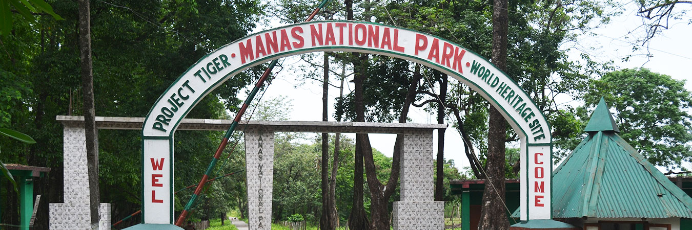 Manas National Park