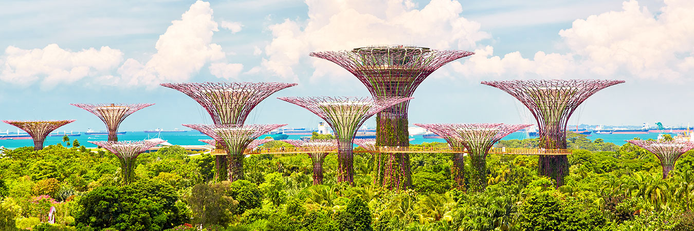 Gardens by the Bay